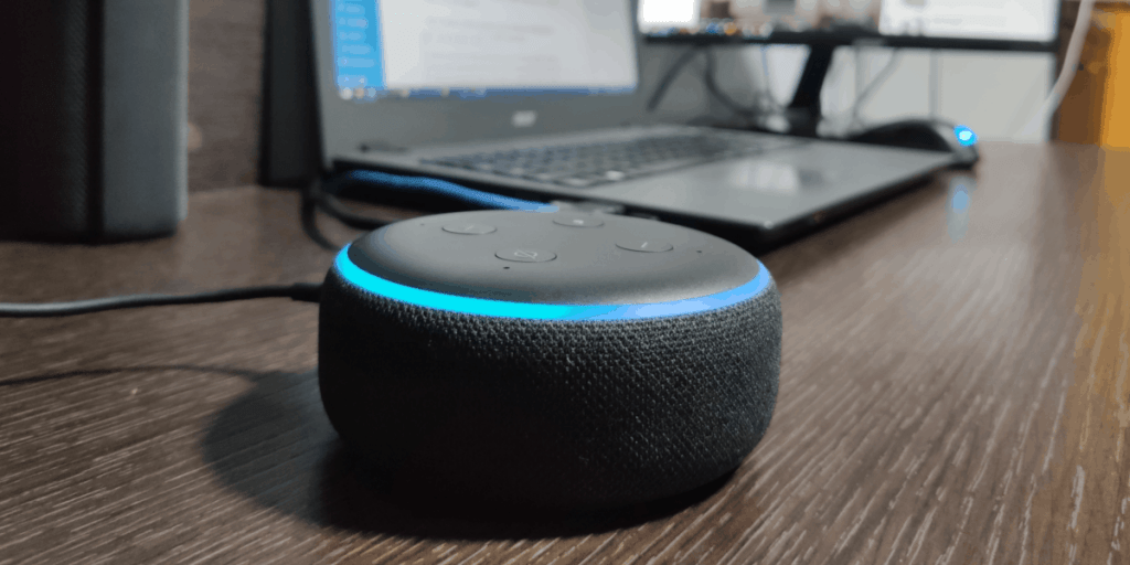 Echo Dot Cover