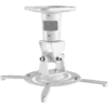 Amer ‎AMRP100