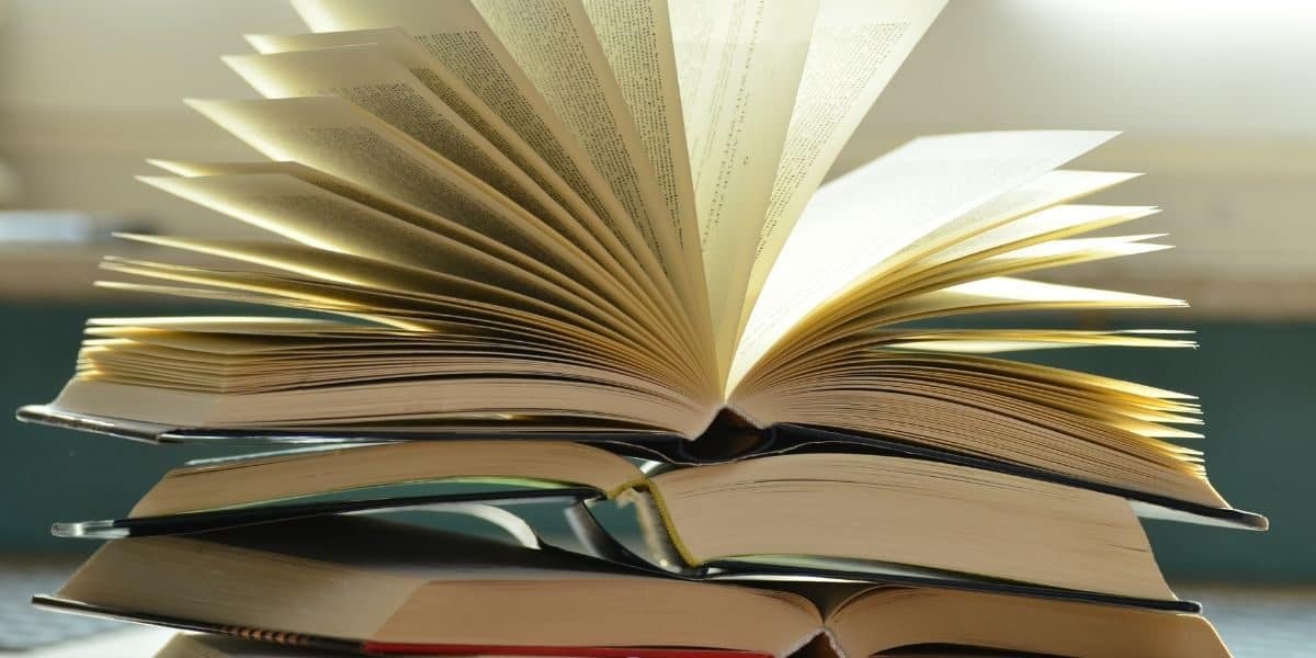 Presente de natal - Livros e mangás